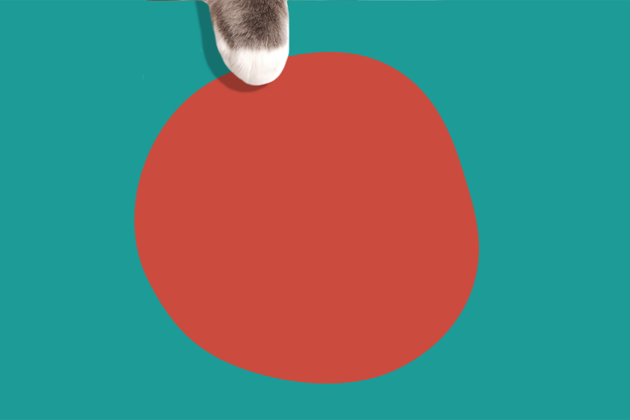 NU